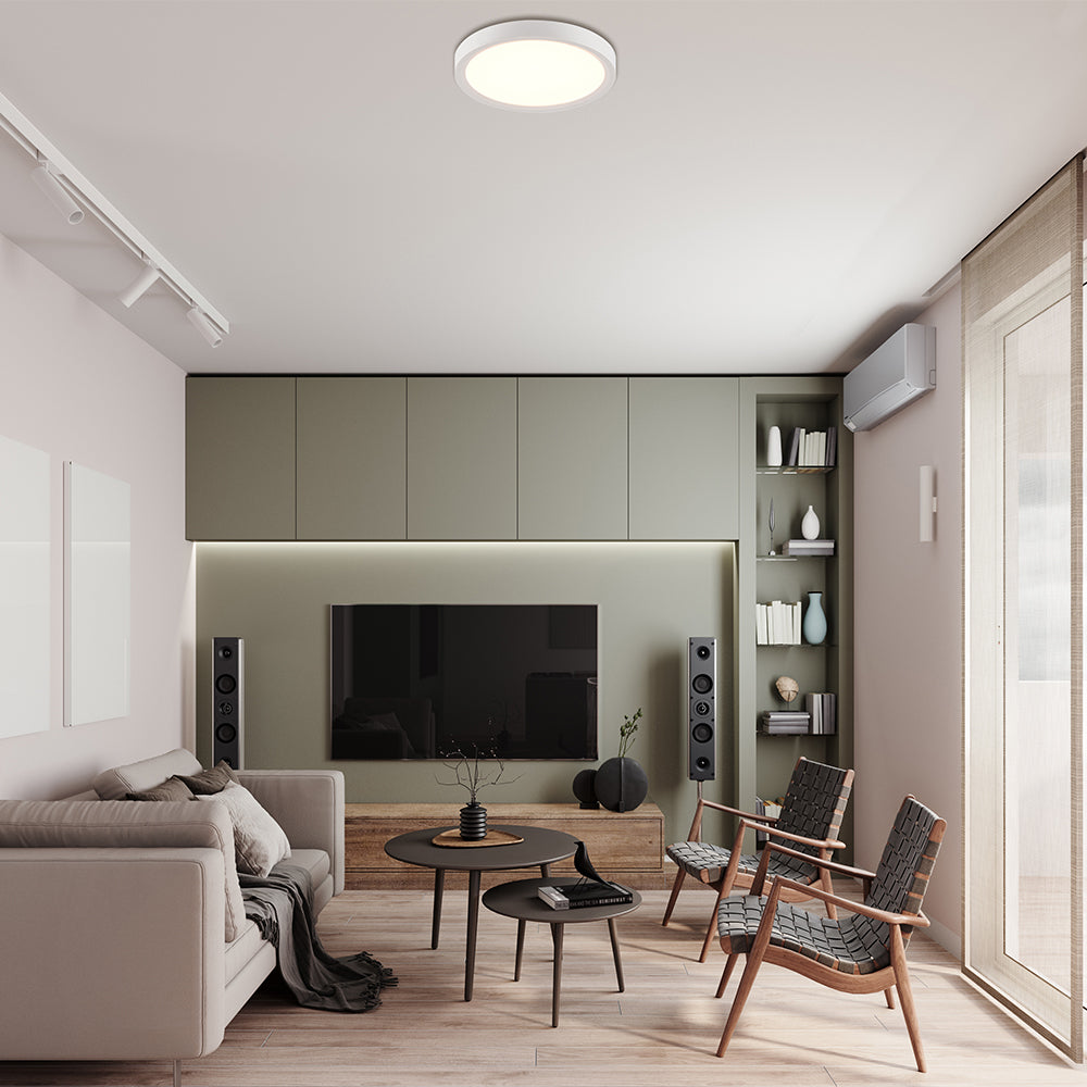 Ceiling & Flush Mounts